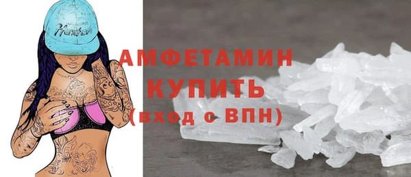 мет Алексин