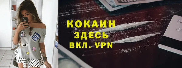 мет Алексин