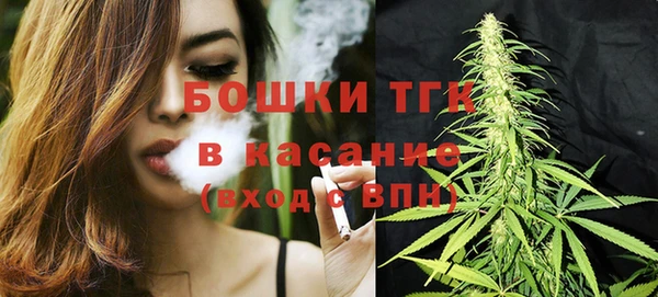 мет Алексин